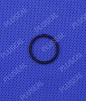 O ring (Viton)