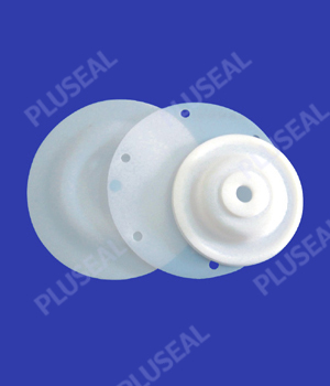 PTFE diaphragm PTFE