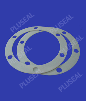 PTFE gasket